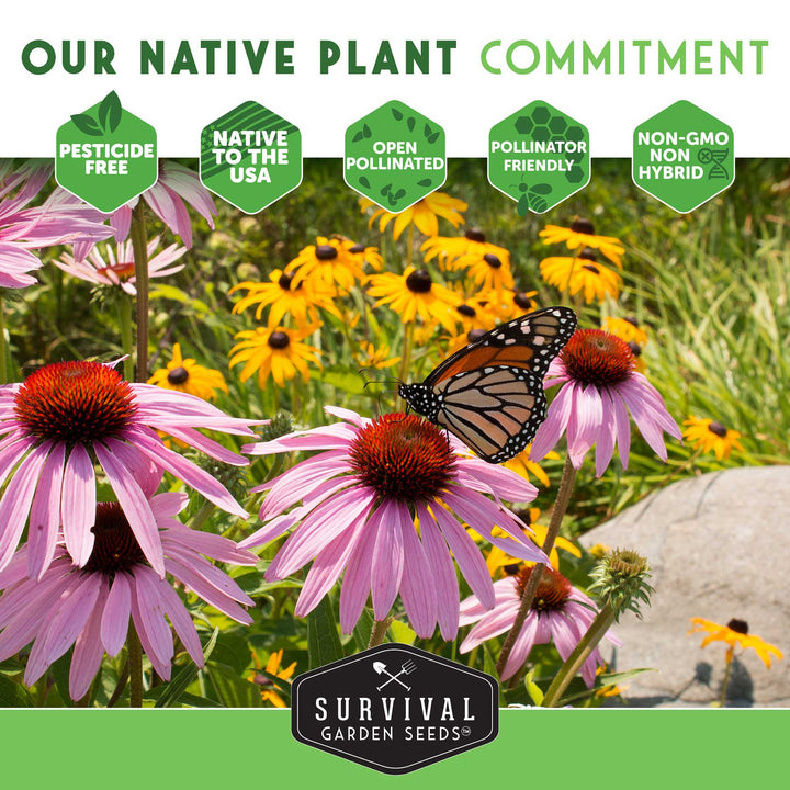 Native Habitat Seed Collection – 24 Native Wildflowers &amp; Grasses for Pollinators, Meadows &amp; Low-Maintenance Landscapes