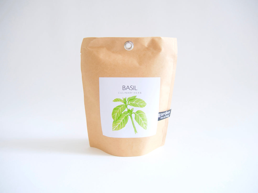 "Get Growing" Mindful Garden in a Bag Kit: Mindfulness Journal, Meditation Card + Growing Kit - (Assorted Year-Round)