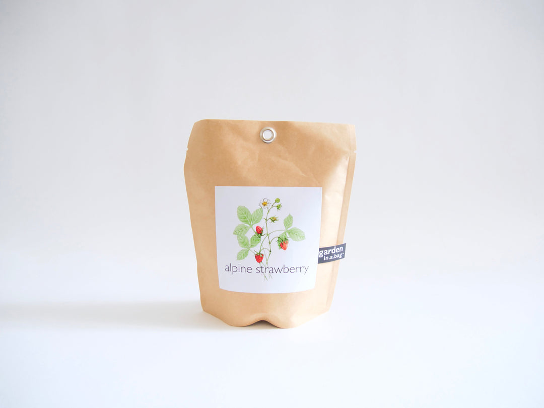 "Get Growing" Mindful Garden in a Bag Kit: Mindfulness Journal, Meditation Card + Growing Kit - (Assorted Year-Round)
