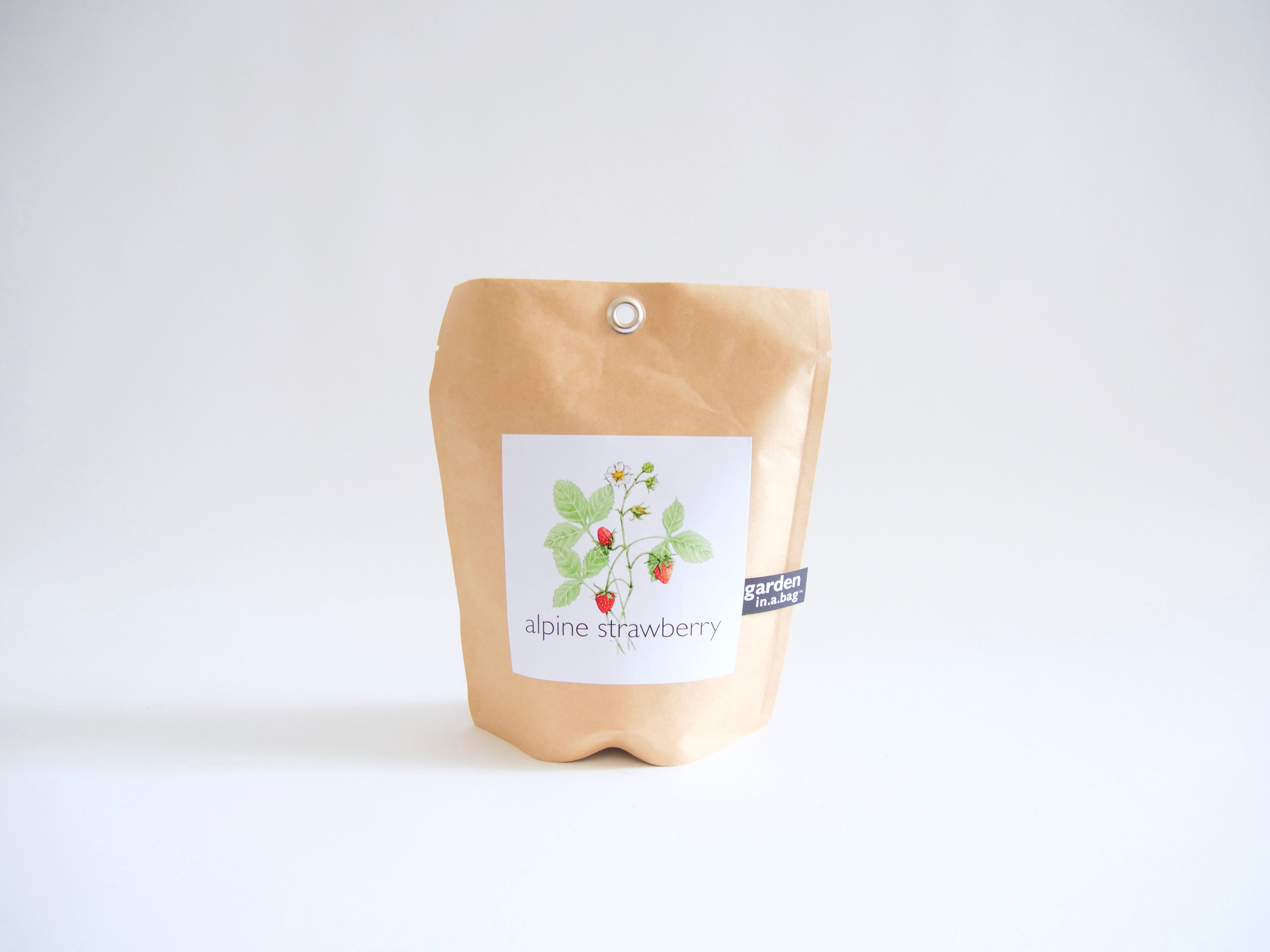 "Get Growing" Mindful Garden in a Bag Kit: Mindfulness Journal, Meditation Card + Growing Kit - (Assorted Year-Round)