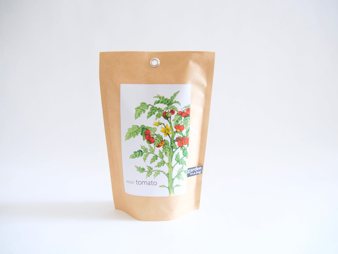 "Get Growing" Mindful Garden in a Bag Kit: Mindfulness Journal, Meditation Card + Growing Kit - (Assorted Year-Round)