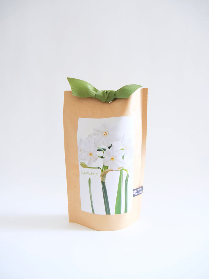 "Get Growing" Mindful Garden in a Bag Kit: Mindfulness Journal, Meditation Card + Growing Kit - (Assorted Year-Round)