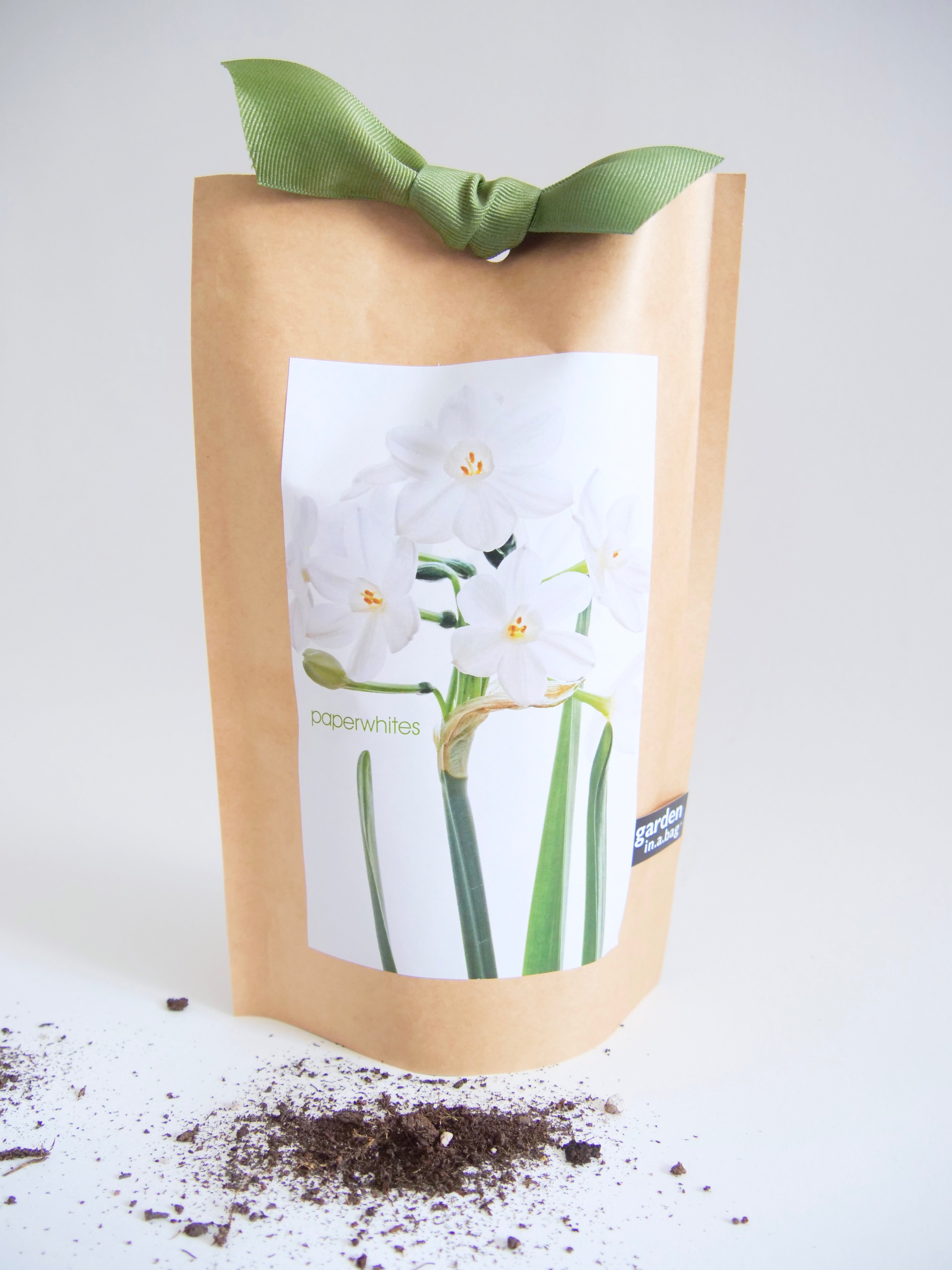 "Get Growing" Mindful Garden in a Bag Kit: Mindfulness Journal, Meditation Card + Growing Kit - (Assorted Year-Round)