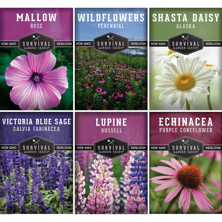 Perennial Flower Seed Collection – Non-GMO Heirloom Blooms for Pollinator Gardens, Borders &amp; Year-Round Color