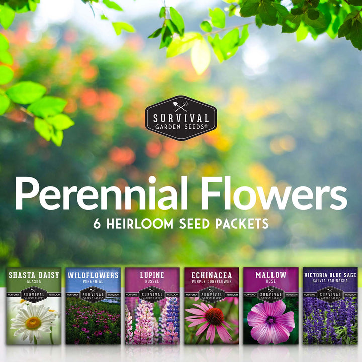 Perennial Flower Seed Collection – Non-GMO Heirloom Blooms for Pollinator Gardens, Borders &amp; Year-Round Color