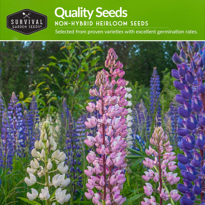 Perennial Flower Seed Collection – Non-GMO Heirloom Blooms for Pollinator Gardens, Borders &amp; Year-Round Color