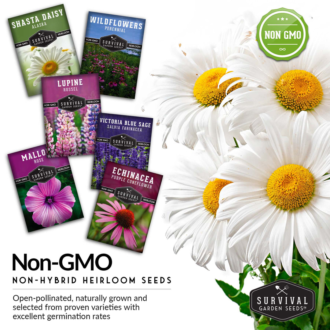 Perennial Flower Seed Collection – Non-GMO Heirloom Blooms for Pollinator Gardens, Borders &amp; Year-Round Color