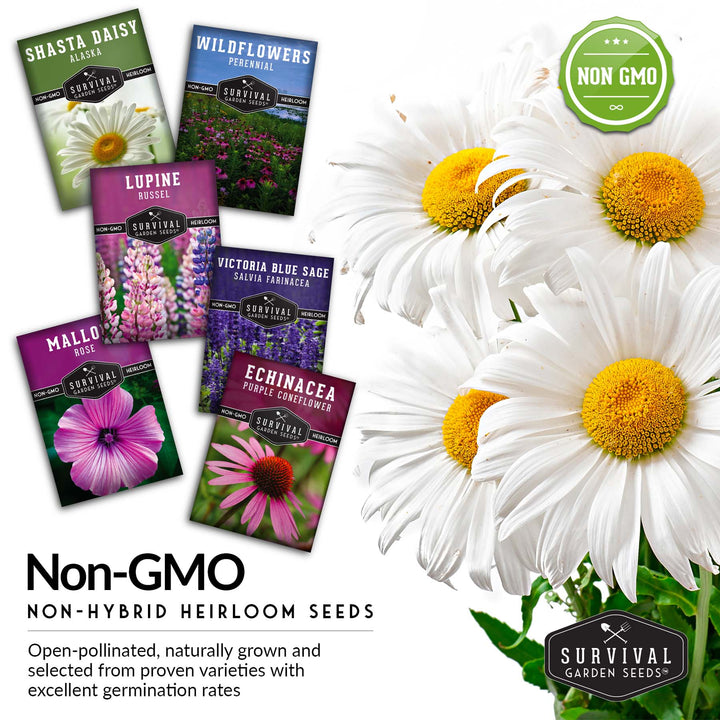 Perennial Flower Seed Collection – Non-GMO Heirloom Blooms for Pollinator Gardens, Borders &amp; Year-Round Color