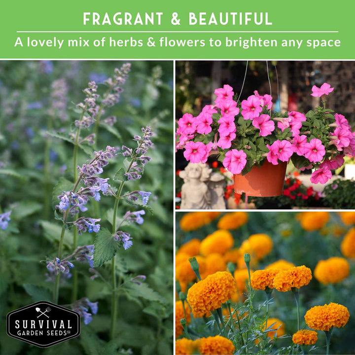 Pest Defense Seed Collection – 6 Heirloom Herbs &amp; Flowers for Natural Garden Protection