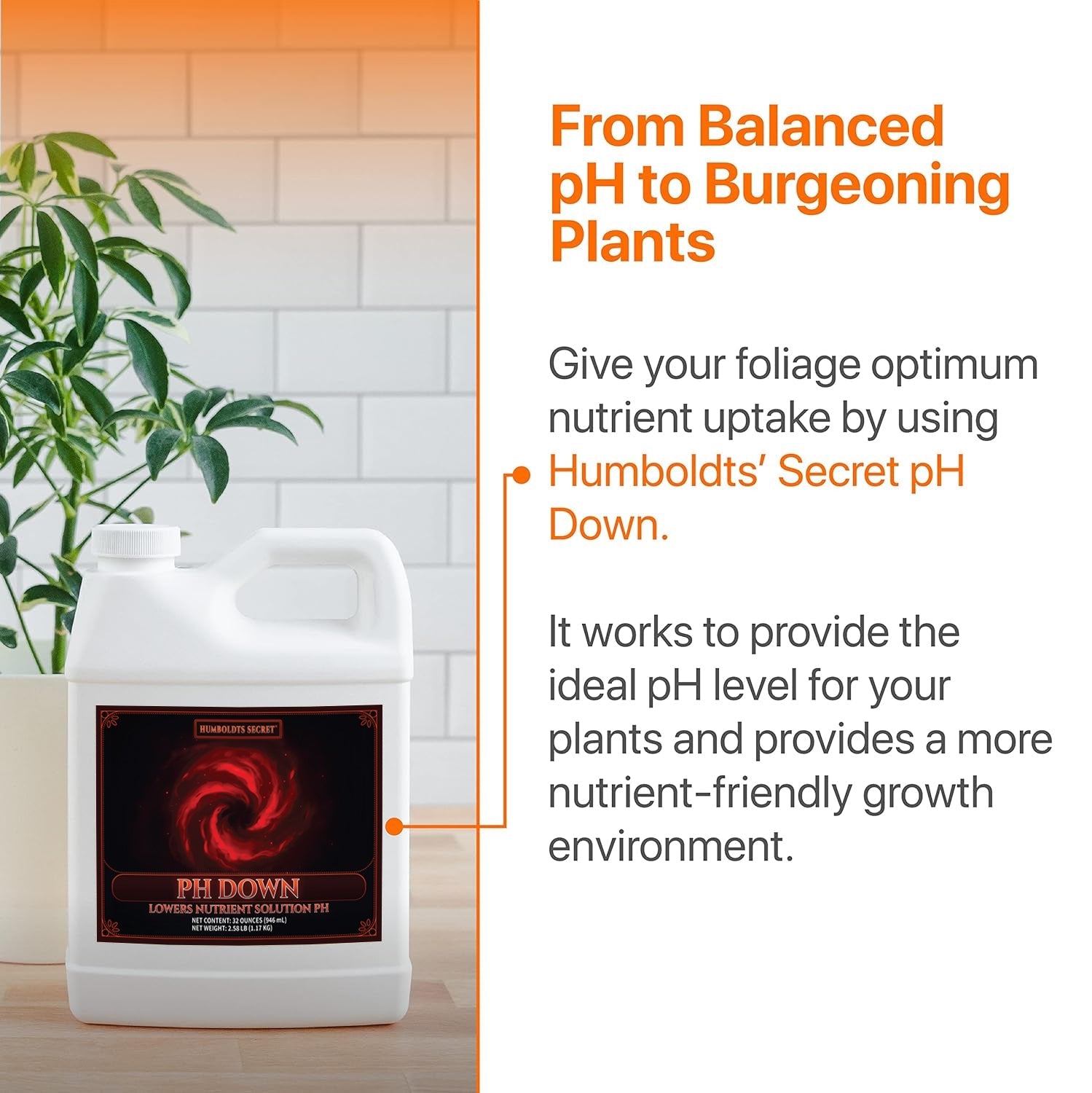 PH Down