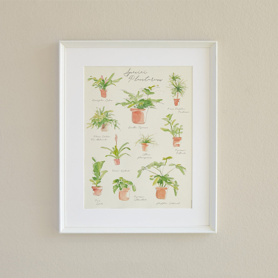 Plant Species Poster