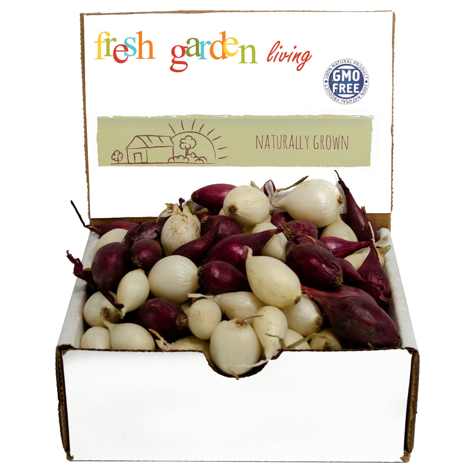 Mixed White Red Onion Sets 8 oz Bulbs Non-GMO