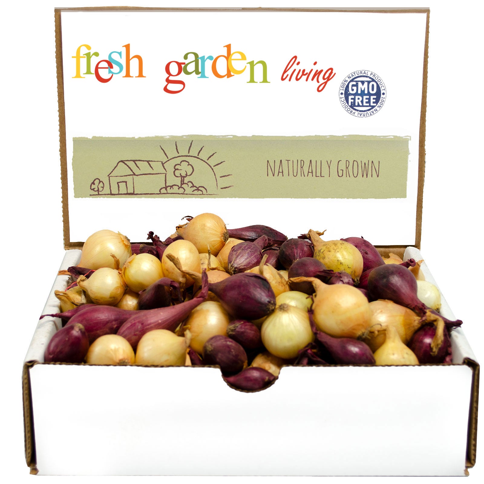 Mixed Yellow Red Onion Sets 8 oz. Non-GMO