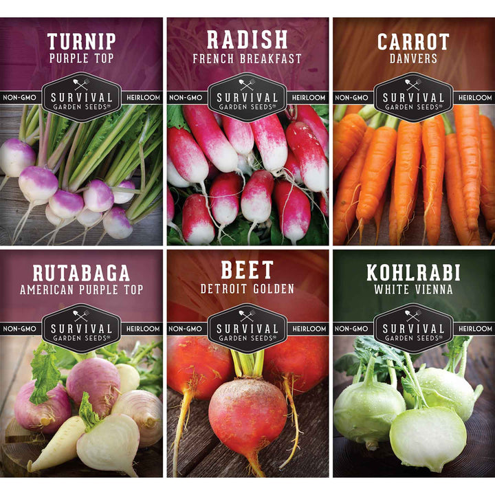 Root Vegetable Seed Collection – Cool-Season Carrots, Turnips, Radishes, Kohlrabi, Rutabagas &amp; Golden Beets