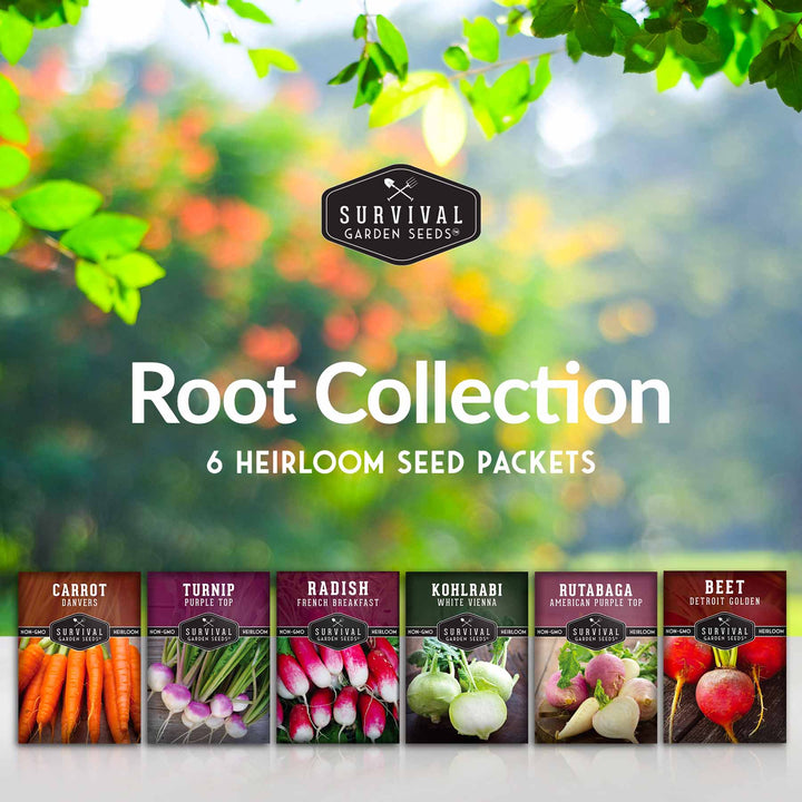 Root Vegetable Seed Collection – Cool-Season Carrots, Turnips, Radishes, Kohlrabi, Rutabagas &amp; Golden Beets