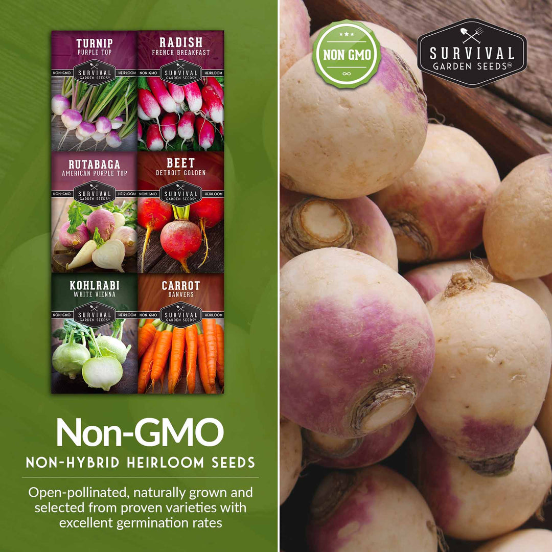 Root Vegetable Seed Collection – Cool-Season Carrots, Turnips, Radishes, Kohlrabi, Rutabagas &amp; Golden Beets