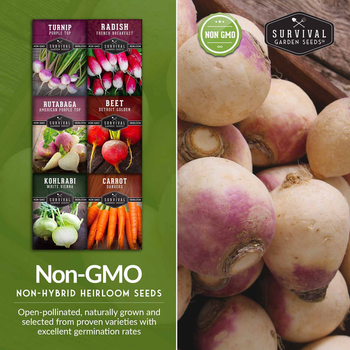 Root Vegetable Seed Collection – Cool-Season Carrots, Turnips, Radishes, Kohlrabi, Rutabagas &amp; Golden Beets