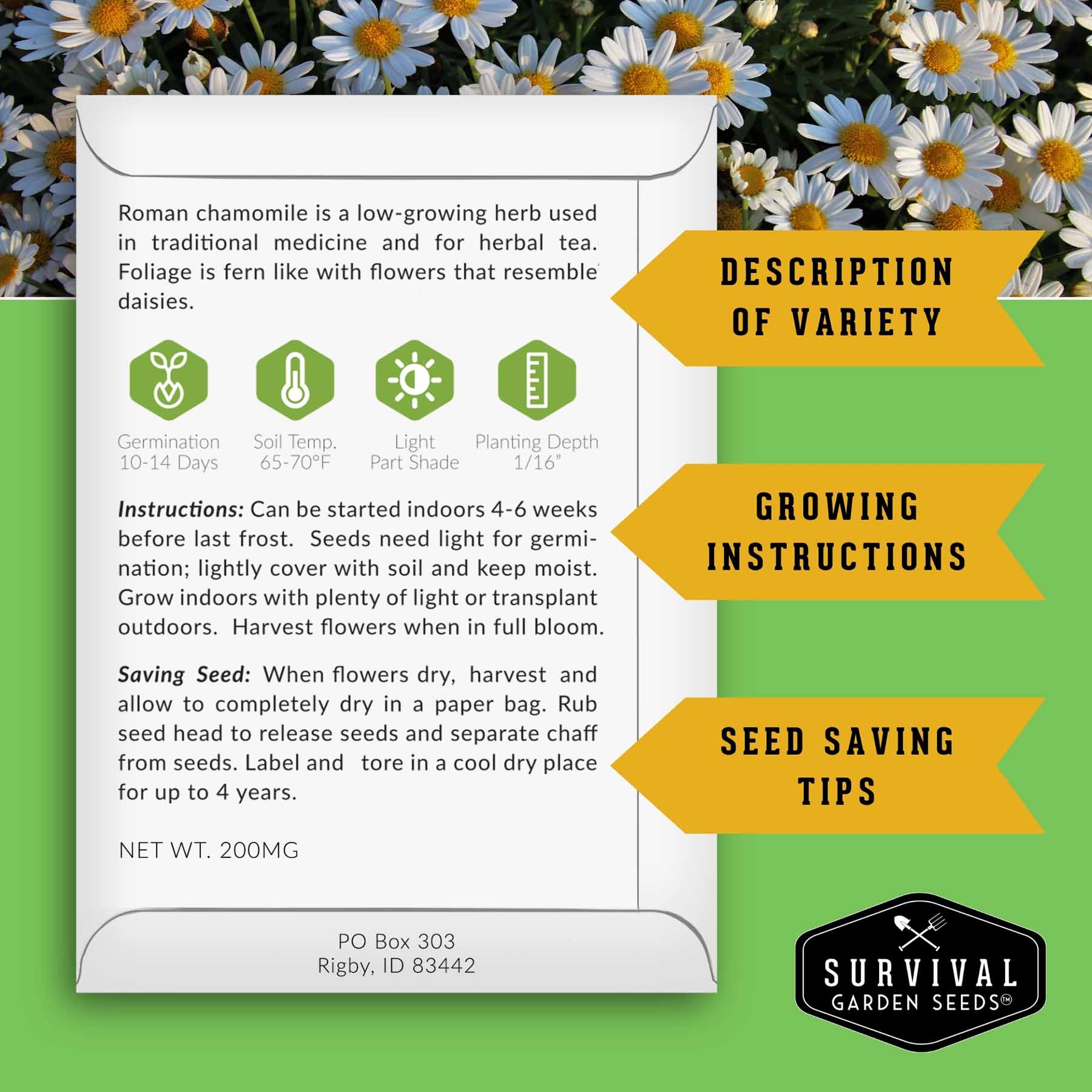 10 Flower Seed Collection - 10 Colorful & Useful Flower Varieties