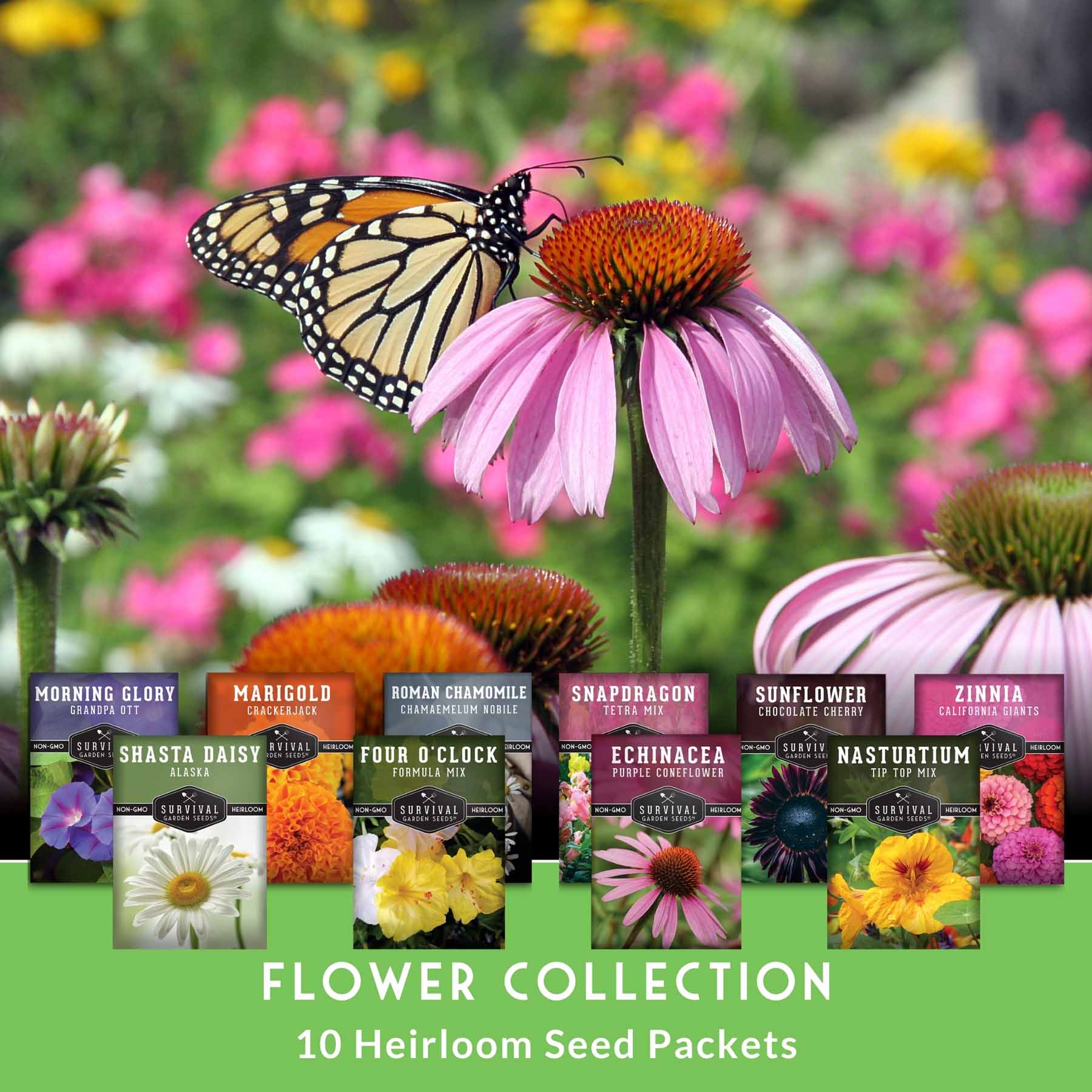 10 Flower Seed Collection - 10 Colorful & Useful Flower Varieties