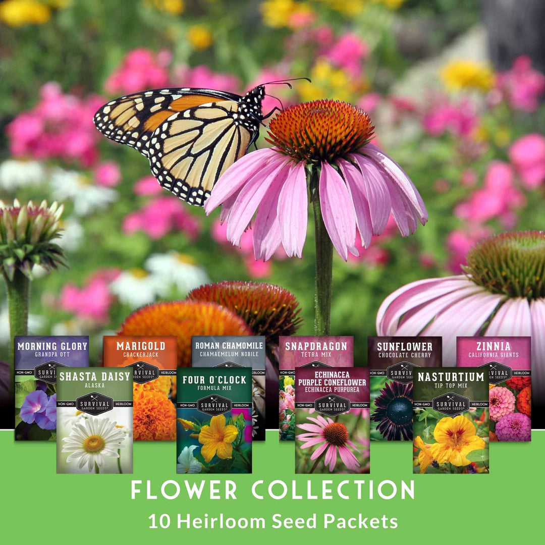 10 Heirloom Flower Seed Collection – Non-GMO Annuals &amp; Perennials