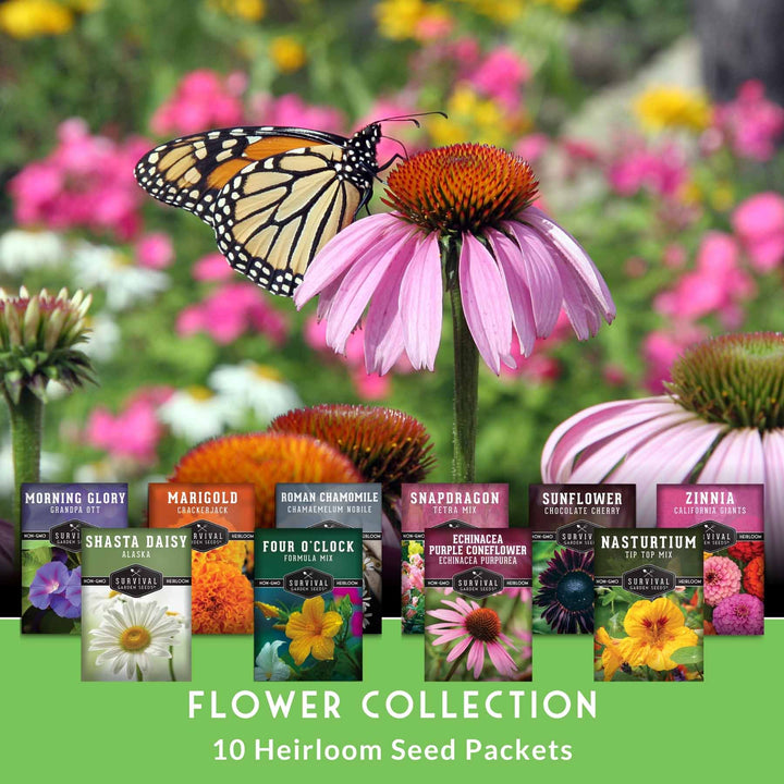 10 Heirloom Flower Seed Collection – Non-GMO Annuals &amp; Perennials
