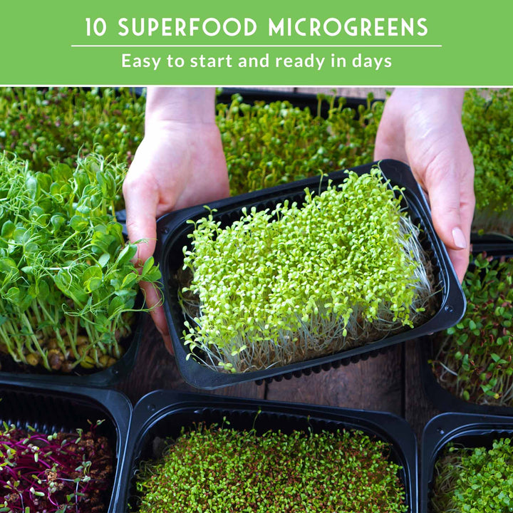 10-Variety Heirloom Microgreen Seed Pack – Non-GMO Seeds for Indoor Growing, Sprouting &amp; Year-Round Nutrition