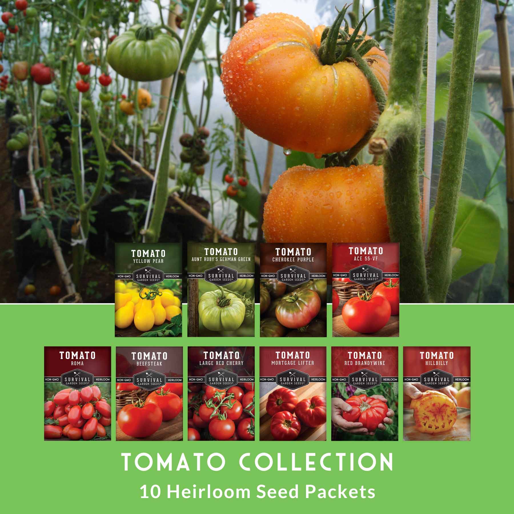 10 Tomato Seed Collection - A Rainbow of Heirloom Tomato Varieties