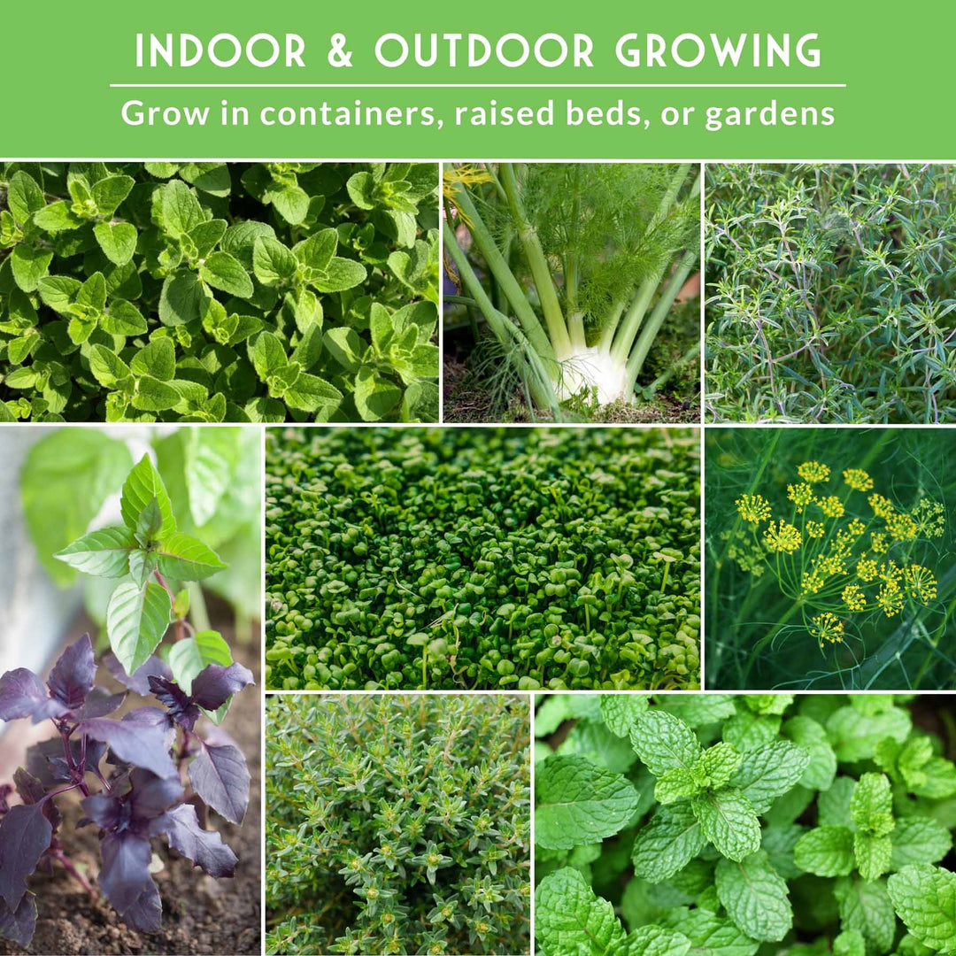18 Culinary Herb Seed Collection – Heirloom Herbs for Cooking, Teas, Remedies &amp; Year-Round Kitchen Gardens