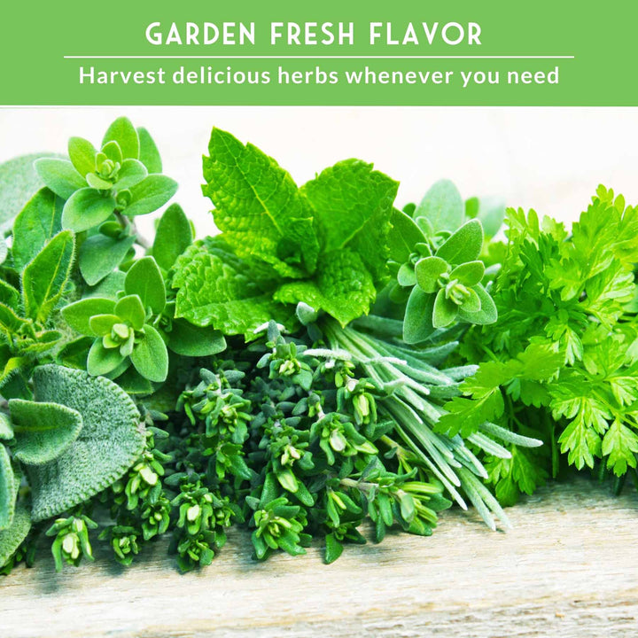 18 Culinary Herb Seed Collection – Heirloom Herbs for Cooking, Teas, Remedies &amp; Year-Round Kitchen Gardens