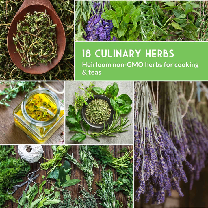 18 Culinary Herb Seed Collection – Heirloom Herbs for Cooking, Teas, Remedies &amp; Year-Round Kitchen Gardens