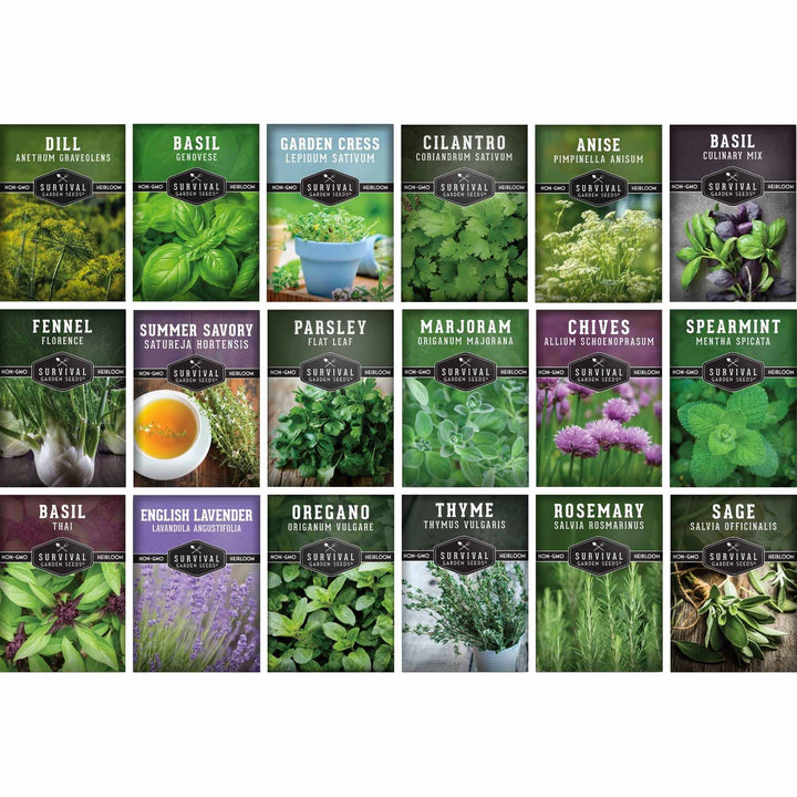 18 Culinary Herb Seed Collection – Heirloom Herbs for Cooking, Teas, Remedies &amp; Year-Round Kitchen Gardens