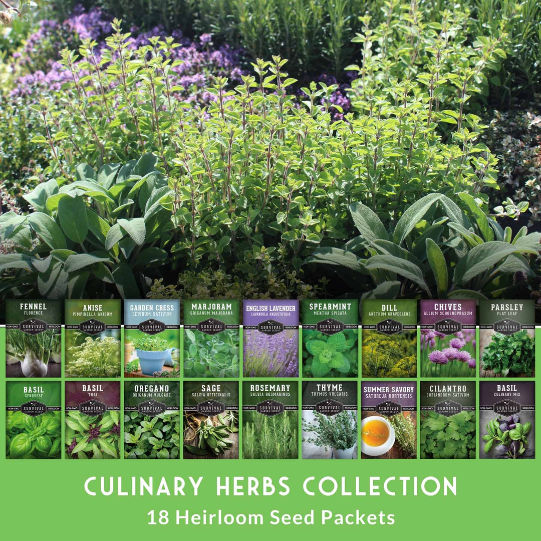 18 Culinary Herb Seed Collection – Heirloom Herbs for Cooking, Teas, Remedies &amp; Year-Round Kitchen Gardens