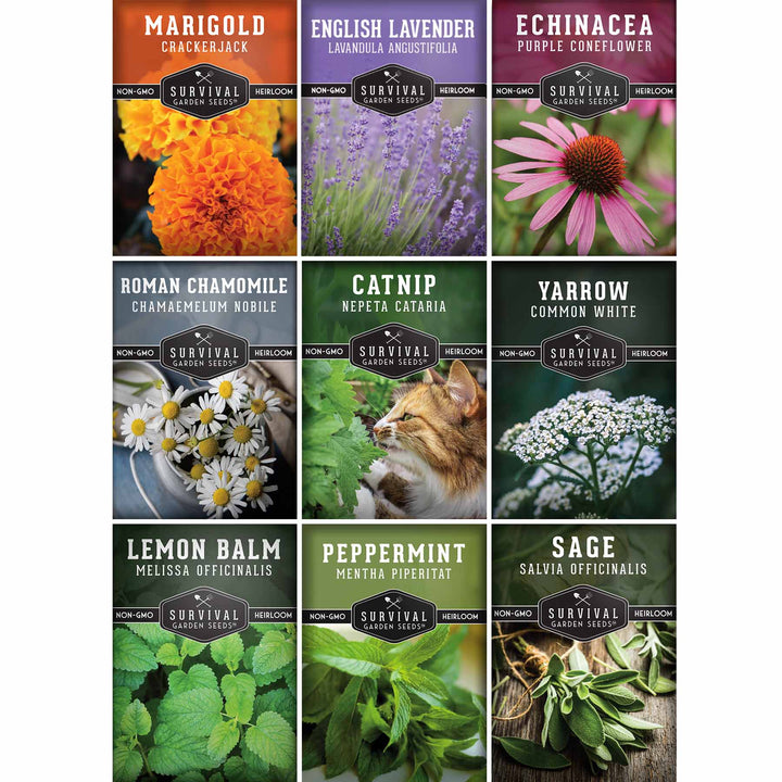 Medicinal Tea Herb Seeds Collection – 9 Heirloom Non-GMO Herbs for Calming Teas, Wellness &amp; Home Apothecary Gardens (Chamomile, Lavender, Peppermint, Sage &amp; More)