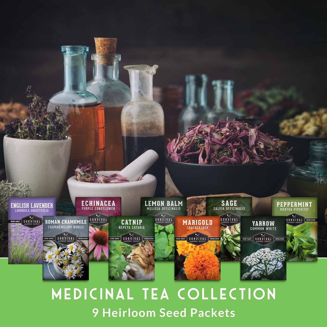 Medicinal Tea Herb Seeds Collection – 9 Heirloom Non-GMO Herbs for Calming Teas, Wellness &amp; Home Apothecary Gardens (Chamomile, Lavender, Peppermint, Sage &amp; More)
