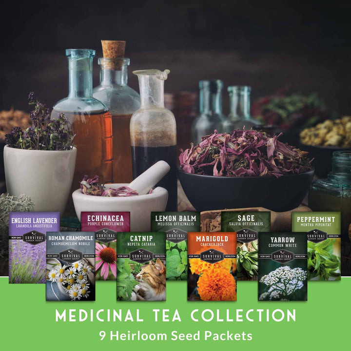 Medicinal Tea Herb Seeds Collection – 9 Heirloom Non-GMO Herbs for Calming Teas, Wellness &amp; Home Apothecary Gardens (Chamomile, Lavender, Peppermint, Sage &amp; More)