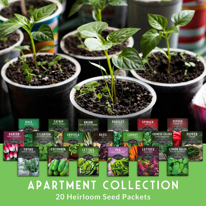 20 Variety Apartment Kit Seed Vault – Non-GMO Heirloom Seeds for Hydroponic &amp; Indoor Small-Space Gardening