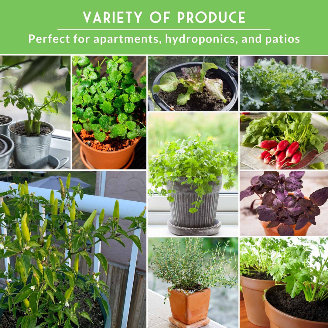 20 Variety Apartment Kit Seed Vault – Non-GMO Heirloom Seeds for Hydroponic &amp; Indoor Small-Space Gardening