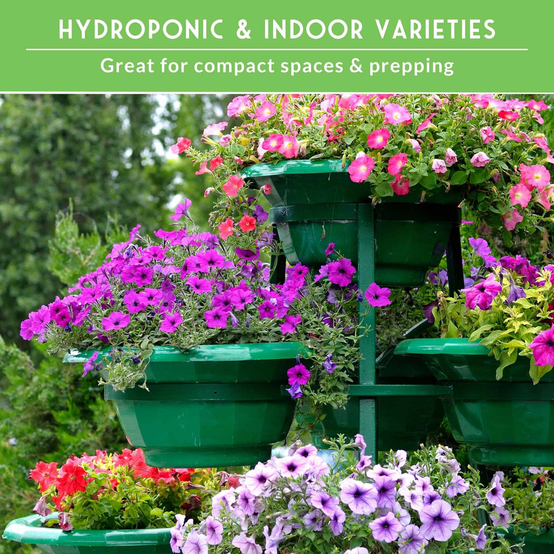 20 Variety Apartment Kit Seed Vault – Non-GMO Heirloom Seeds for Hydroponic &amp; Indoor Small-Space Gardening