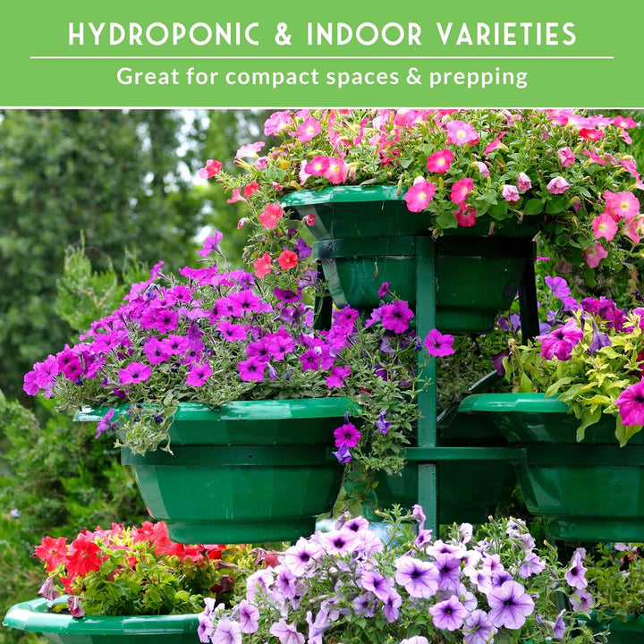 20 Variety Apartment Kit Seed Vault – Non-GMO Heirloom Seeds for Hydroponic &amp; Indoor Small-Space Gardening