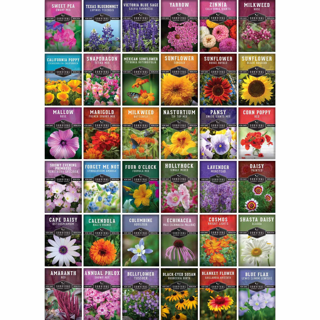 Functional Flower Garden Kit - 36 Seeds for Beauty, Bees &amp; Wellness