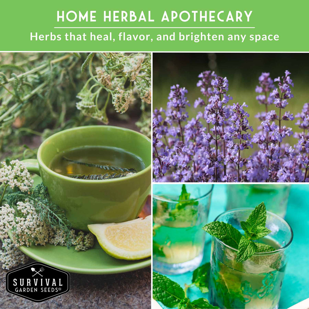Medicinal Tea Herb Seeds Collection – 9 Heirloom Non-GMO Herbs for Calming Teas, Wellness &amp; Home Apothecary Gardens (Chamomile, Lavender, Peppermint, Sage &amp; More)