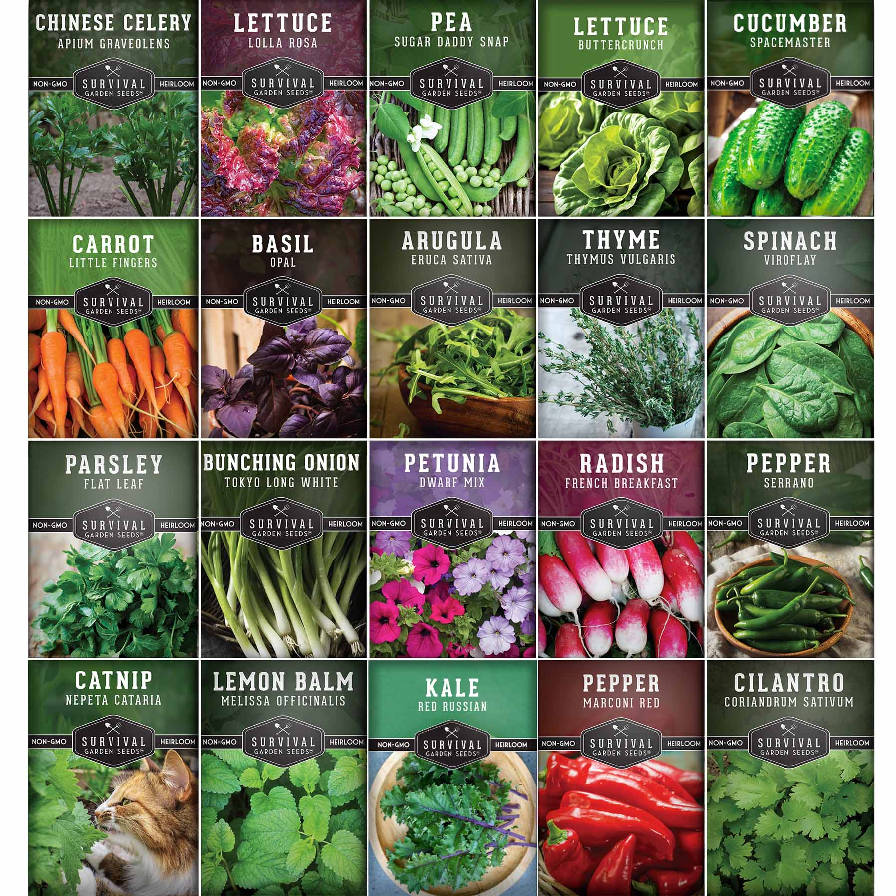 20 Variety Apartment Kit Seed Vault – Non-GMO Heirloom Seeds for Hydroponic & Indoor Small-Space Gardening