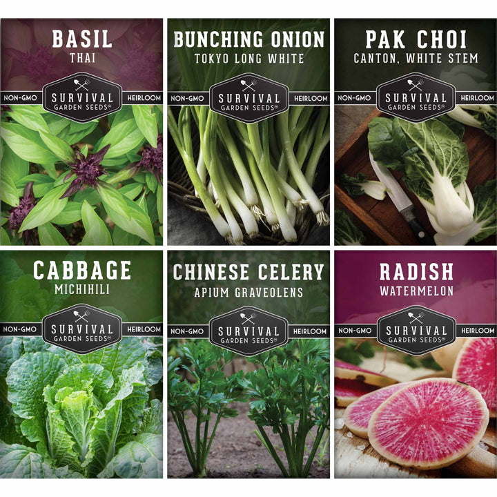 Asian Vegetable Seed Collection – 6 Heirloom, Non-GMO Varieties for Stir-Fries, Soups &amp; Authentic Home Cooking