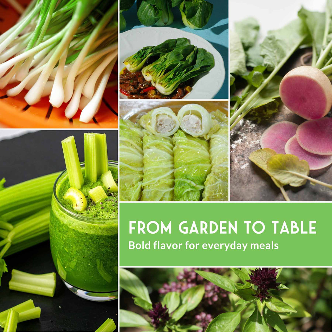 Asian Vegetable Seed Collection – 6 Heirloom, Non-GMO Varieties for Stir-Fries, Soups &amp; Authentic Home Cooking