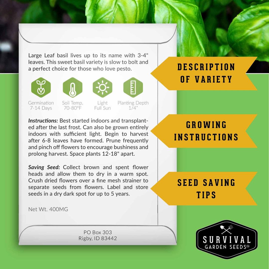 5 Basil Seed Collection – Genovese, Holy (Tulsi), Large Leaf, Opal &amp; Thai Basil Seeds for Culinary and Herbal Gardens