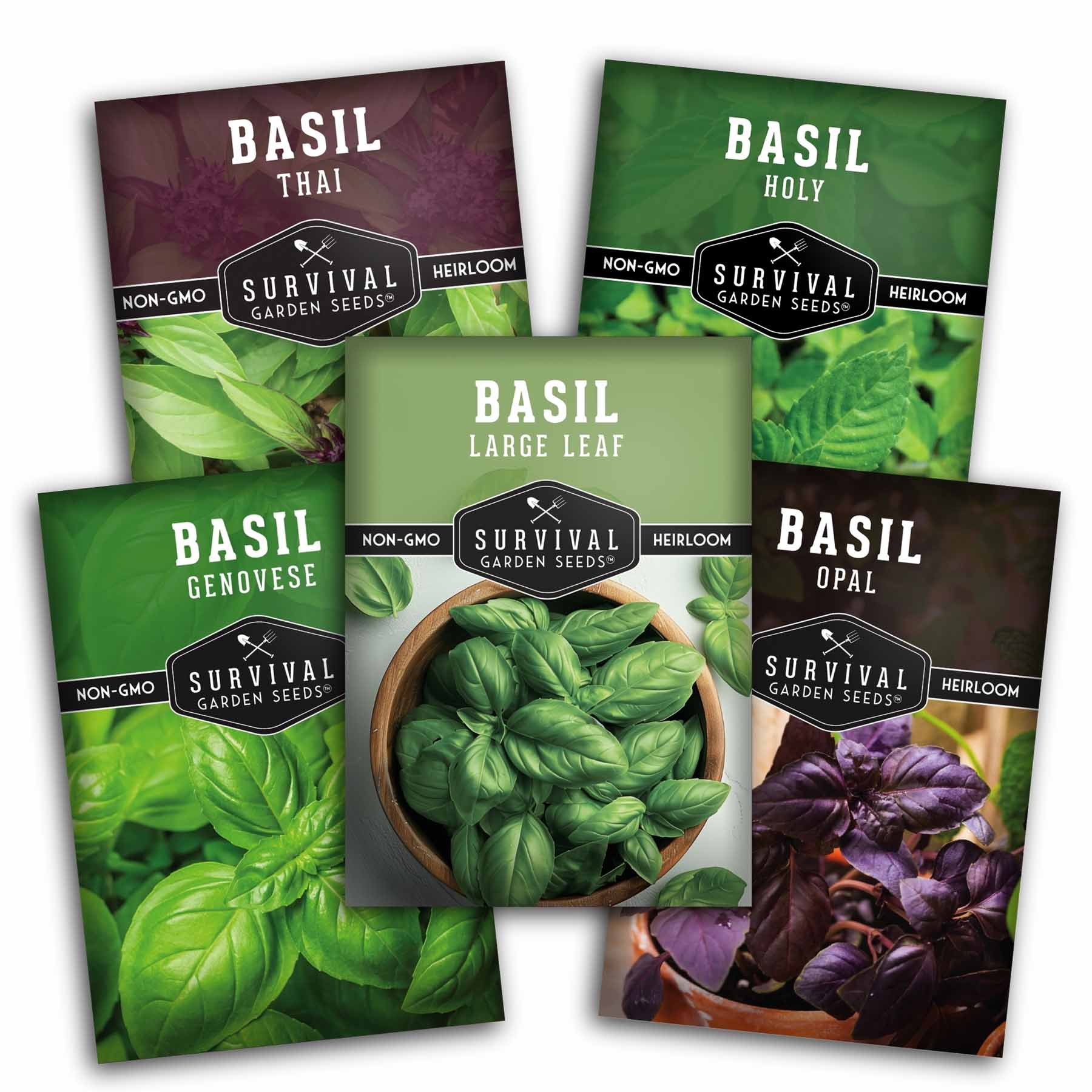 5 Basil Seed Collection – Genovese, Holy (Tulsi), Large Leaf, Opal & Thai Basil Seeds for Culinary and Herbal Gardens