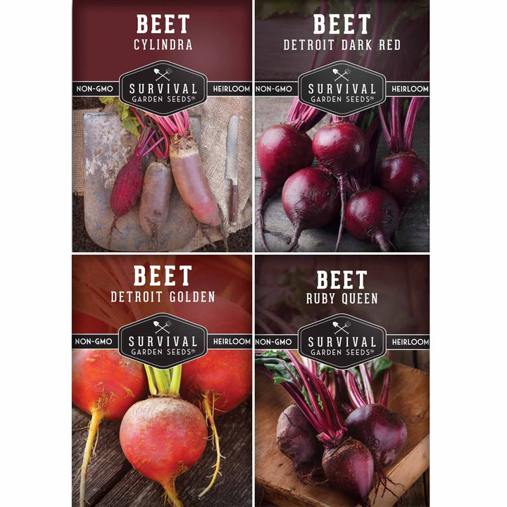 Beet Seed Collection – Cylindra, Ruby Queen, Detroit Dark Red &amp; Golden Beets