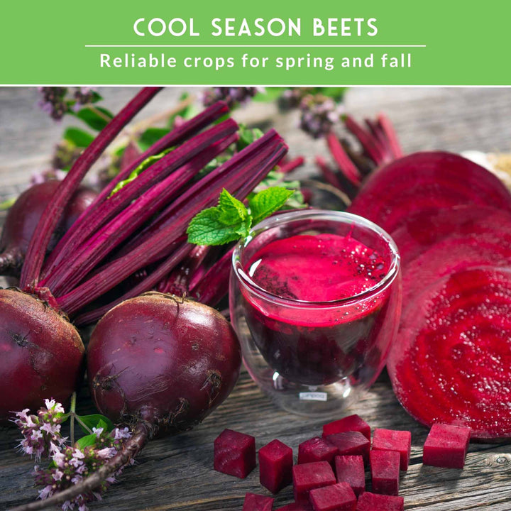Beet Seed Collection – Cylindra, Ruby Queen, Detroit Dark Red &amp; Golden Beets