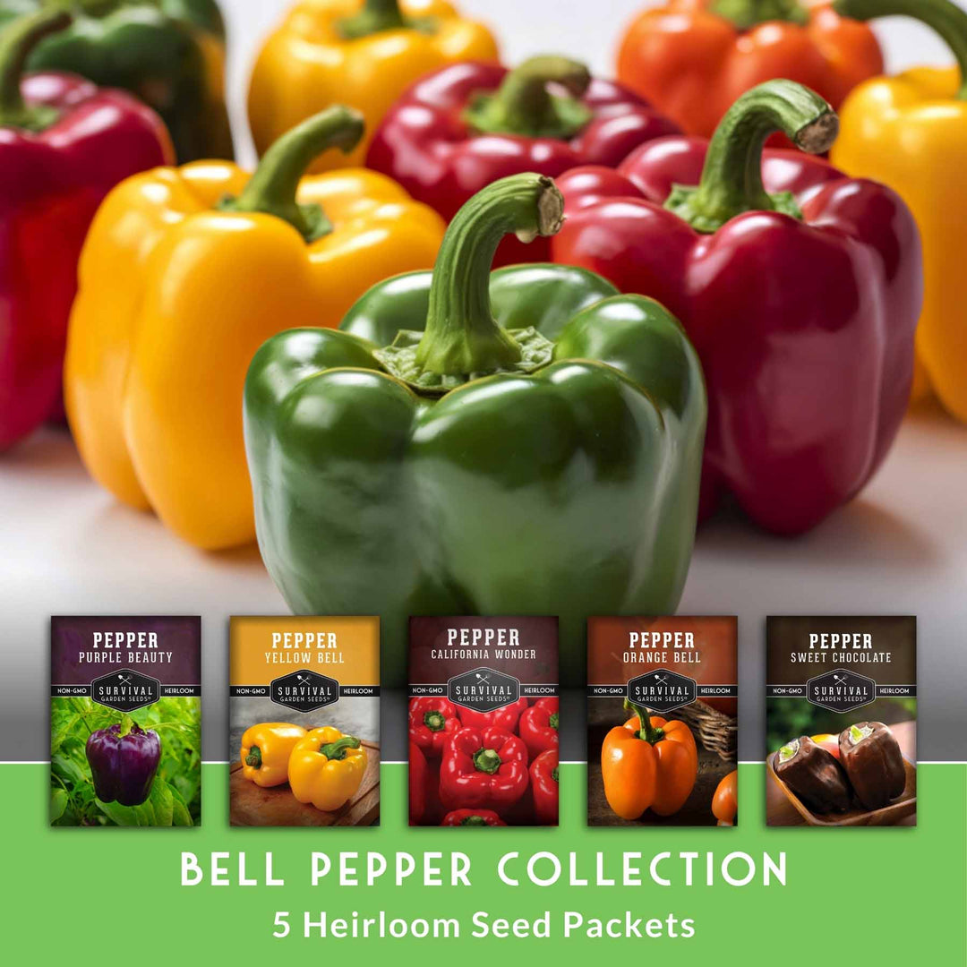 Heirloom Bell Pepper Seed Collection – Non-GMO Sweet Peppers, 5 Colors
