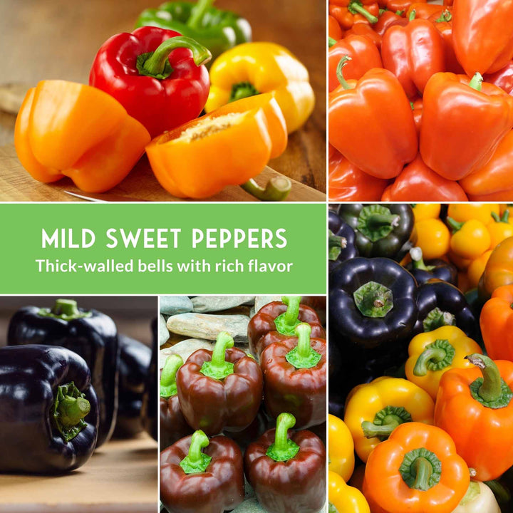 Heirloom Bell Pepper Seed Collection – Non-GMO Sweet Peppers, 5 Colors